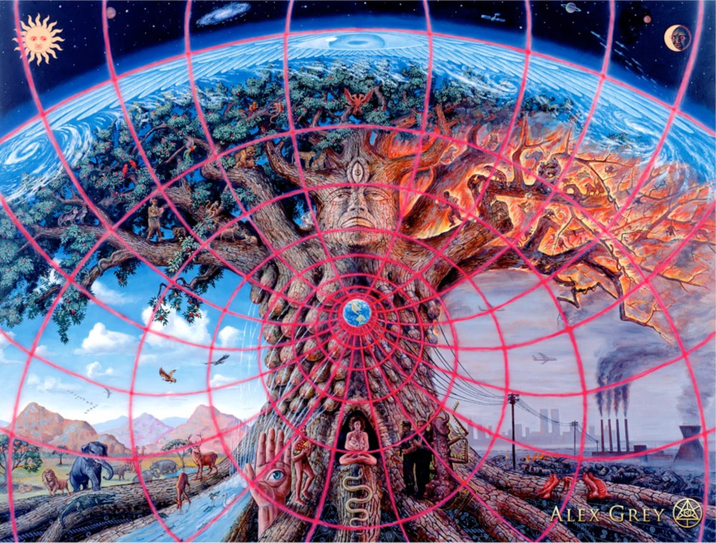 AlexBiomimicry2