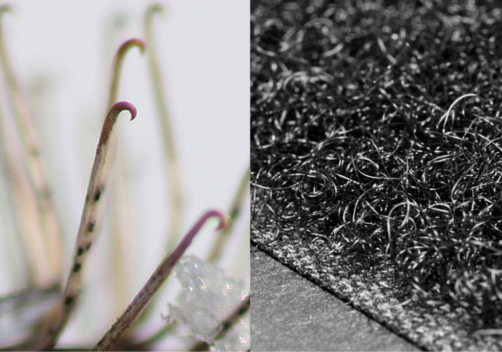 Alexbiomimicry1