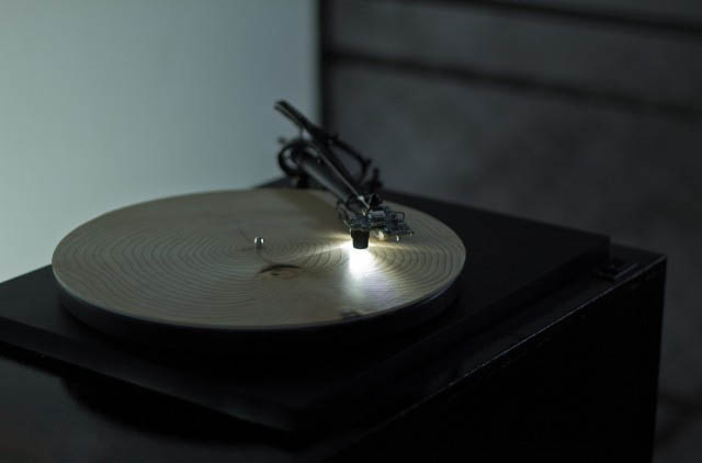 The Music of a Tree